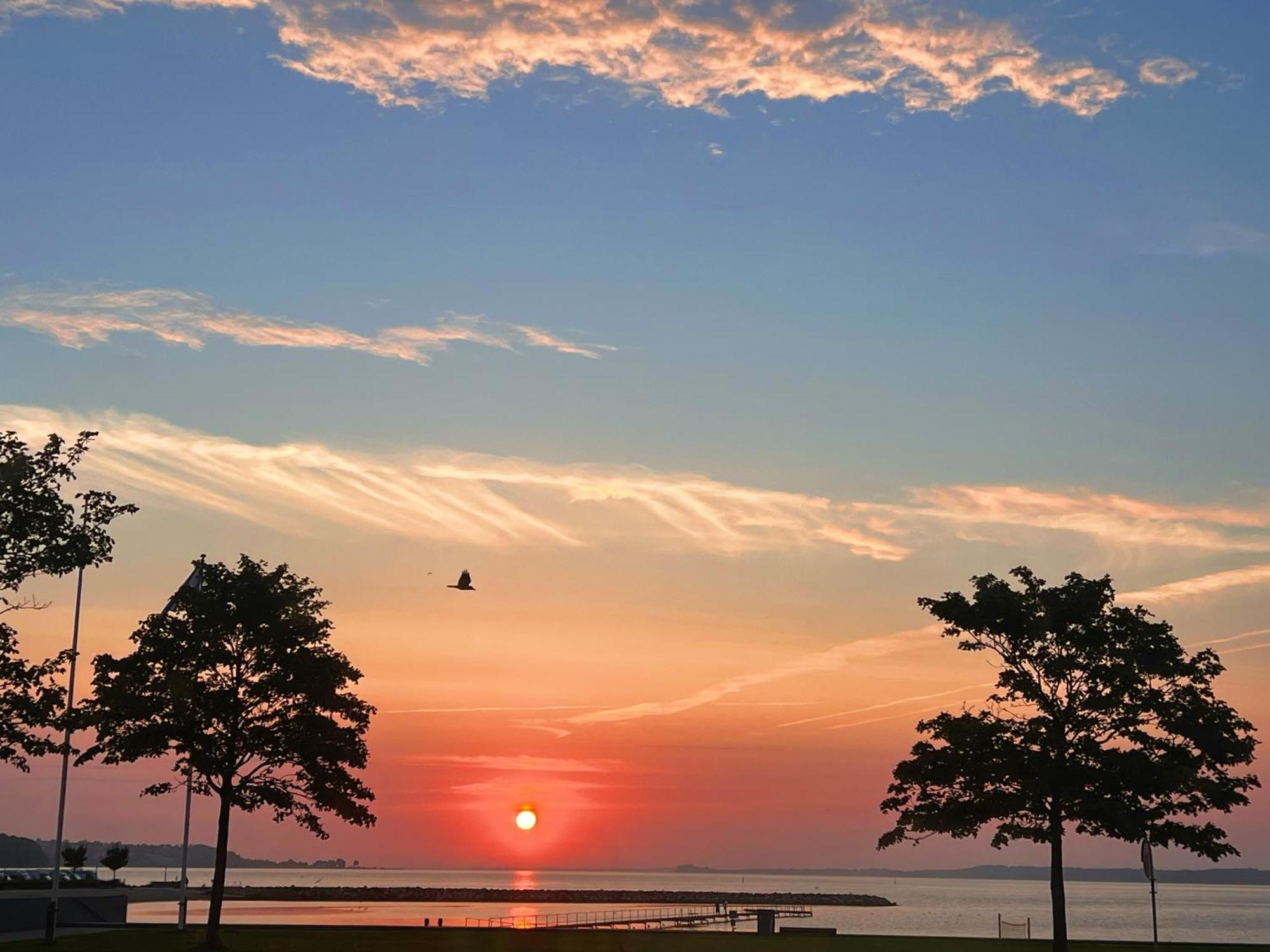 Stay Bai-Jensen Aabenraa Dış mekan fotoğraf